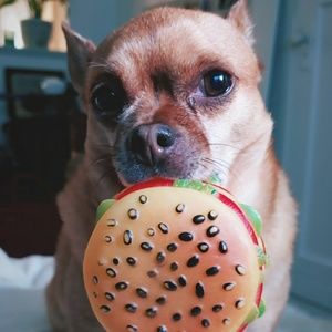 Meet your Posher, Aurora